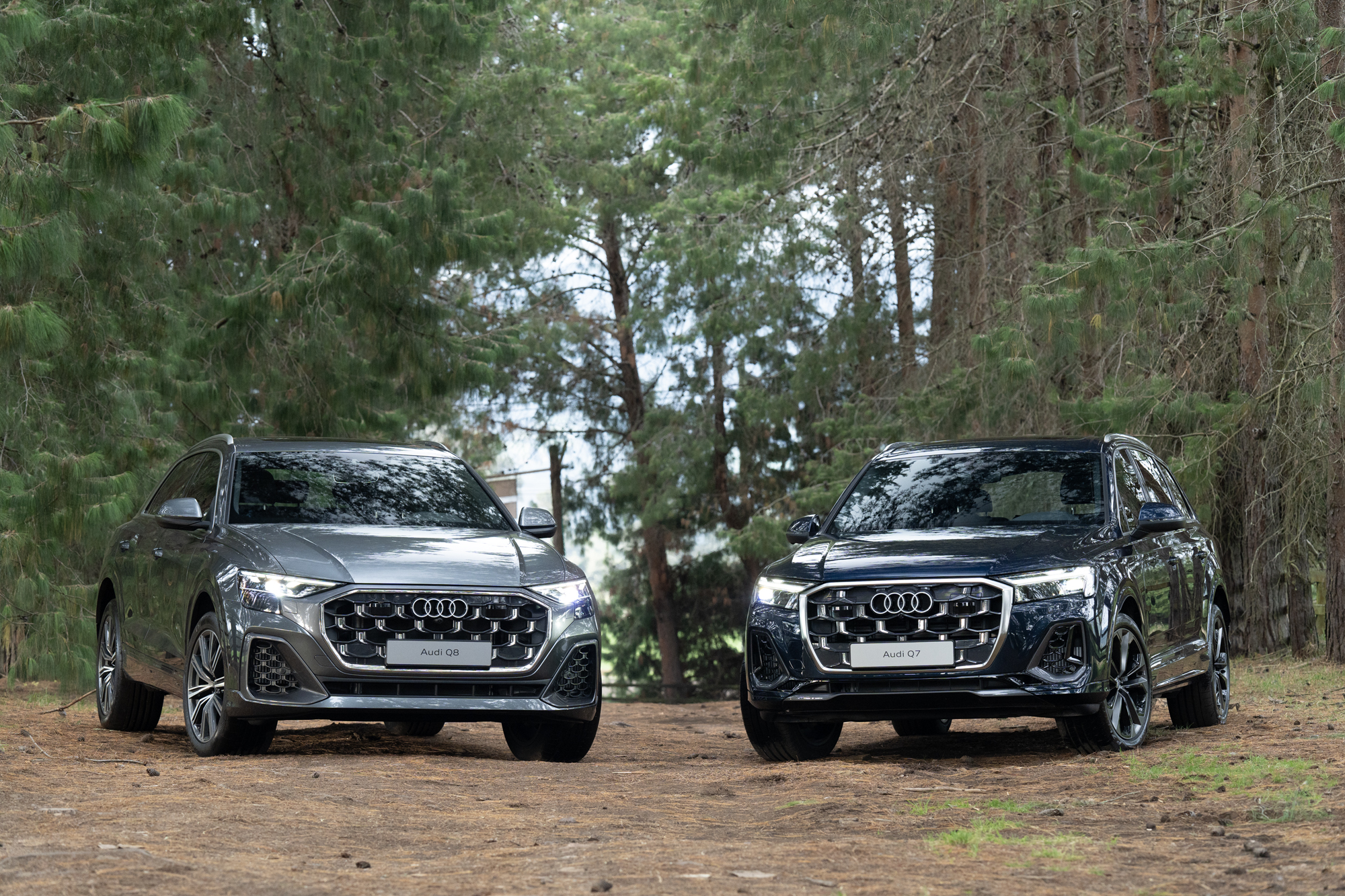 Audi y sus renovadas SUV entregan una opción de movilidad sostenible con la hibridación ligera.